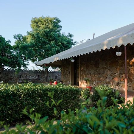 The Rustic Villa, A Stay With Luxuries Amenities And Exotic Nature Dzsaipur Kültér fotó