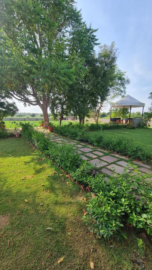 The Rustic Villa, A Stay With Luxuries Amenities And Exotic Nature Dzsaipur Kültér fotó